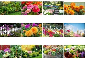 Monthly Scenes of Gardens 2022 Calendar