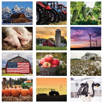 American Agriculture Calendar Monthly Scenes