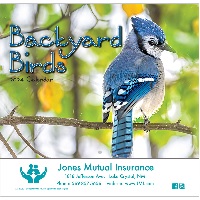 Backyard Birds 2024 Calendar Cover