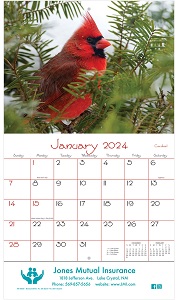Backyard Birds 2024 Calendar