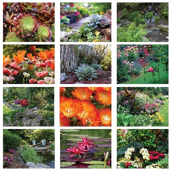 Gardens Calendar Monthly Scenes