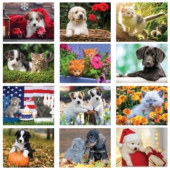 Puppies and Kittens 2024 Calendar Monthly Scenes