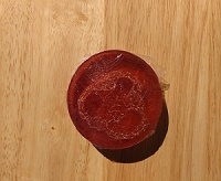 Moonlight Pomegranate Scent Loofah Soap
